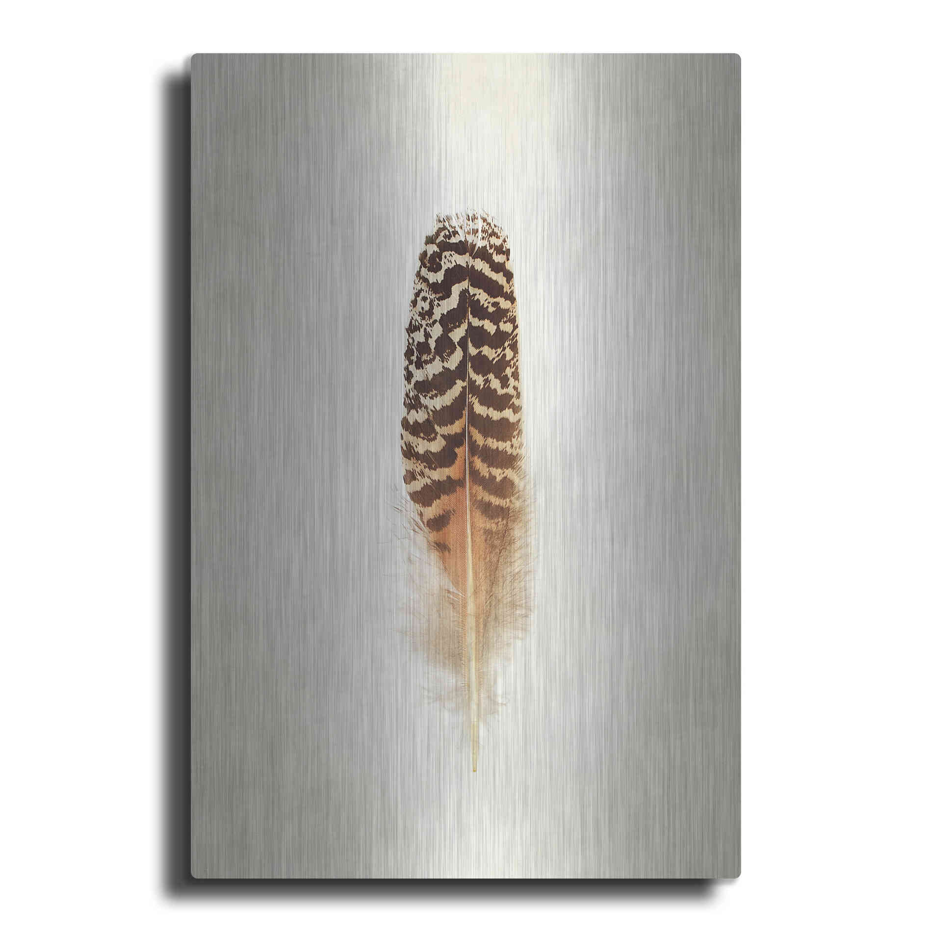 Luxe Metal Art 'Feather I' by Debra Van Swearingen, Metal Wall Art