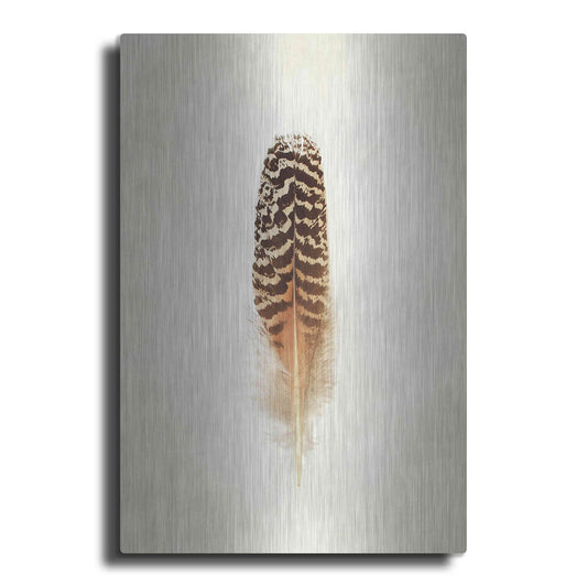 Luxe Metal Art 'Feather I' by Debra Van Swearingen, Metal Wall Art