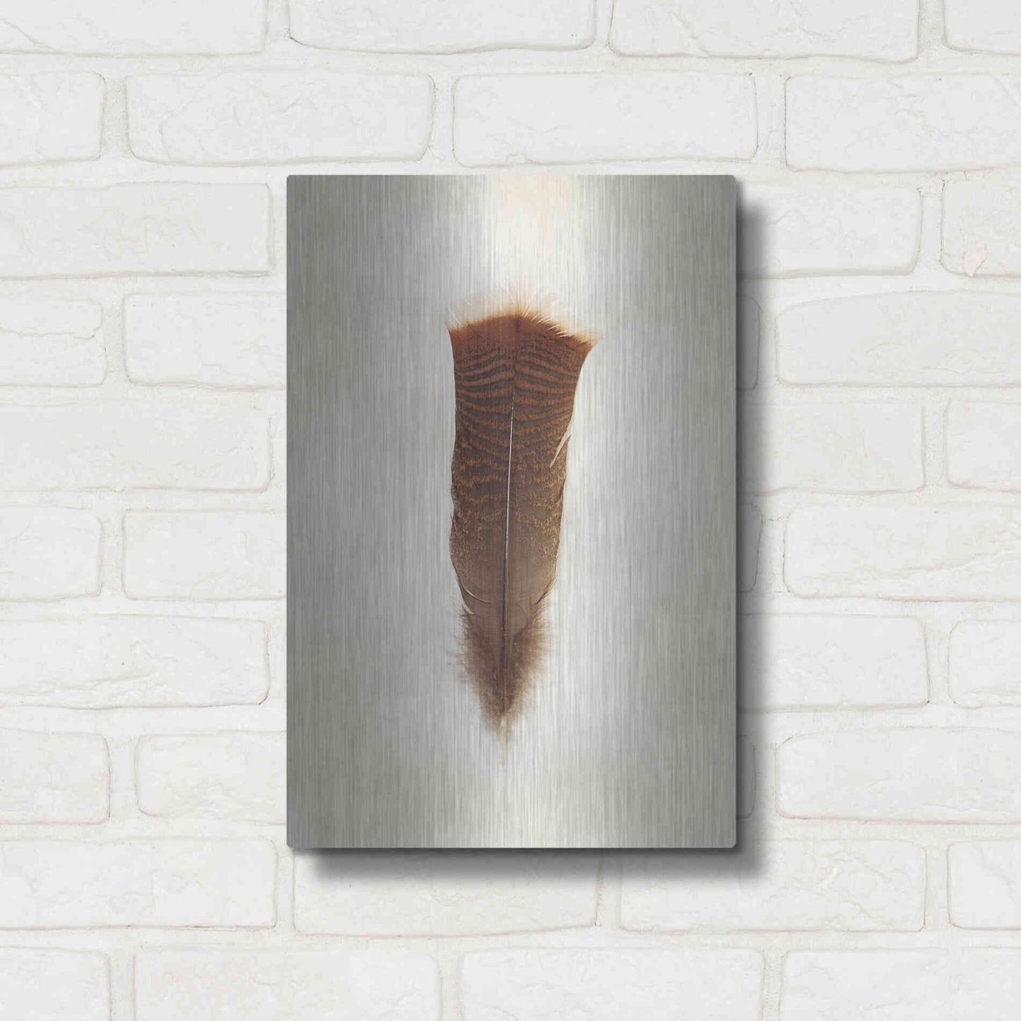 Luxe Metal Art 'Feather III' by Debra Van Swearingen, Metal Wall Art,12x16