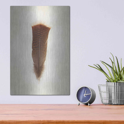 Luxe Metal Art 'Feather III' by Debra Van Swearingen, Metal Wall Art,12x16