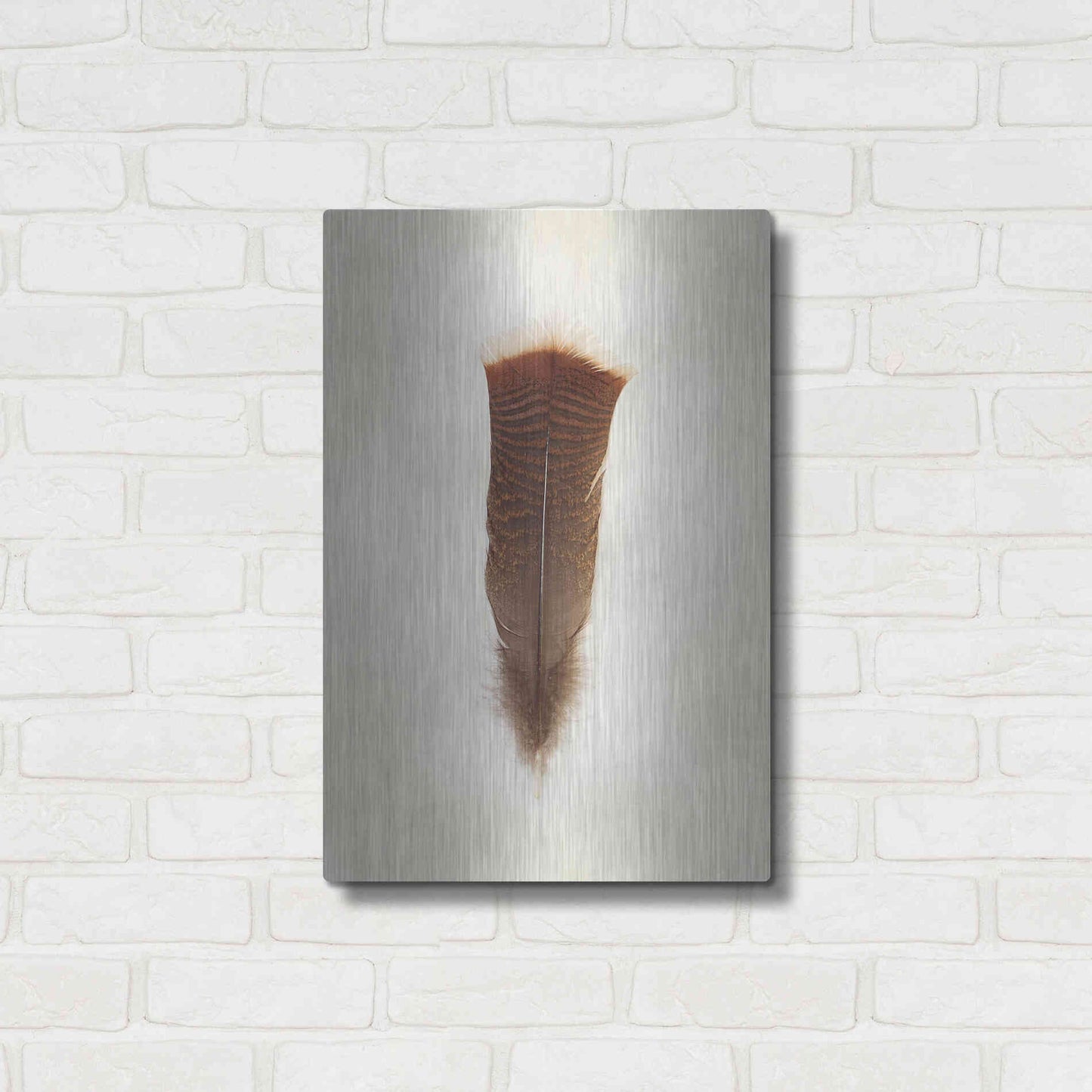 Luxe Metal Art 'Feather III' by Debra Van Swearingen, Metal Wall Art,16x24