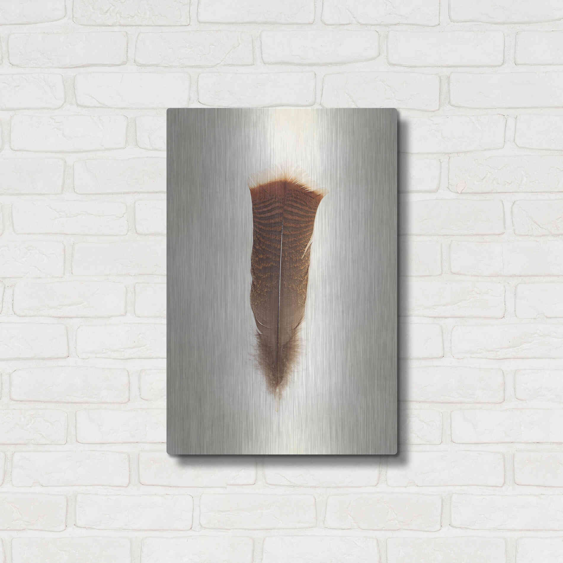 Luxe Metal Art 'Feather III' by Debra Van Swearingen, Metal Wall Art,16x24