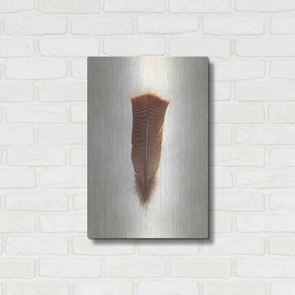 Luxe Metal Art 'Feather III' by Debra Van Swearingen, Metal Wall Art,16x24