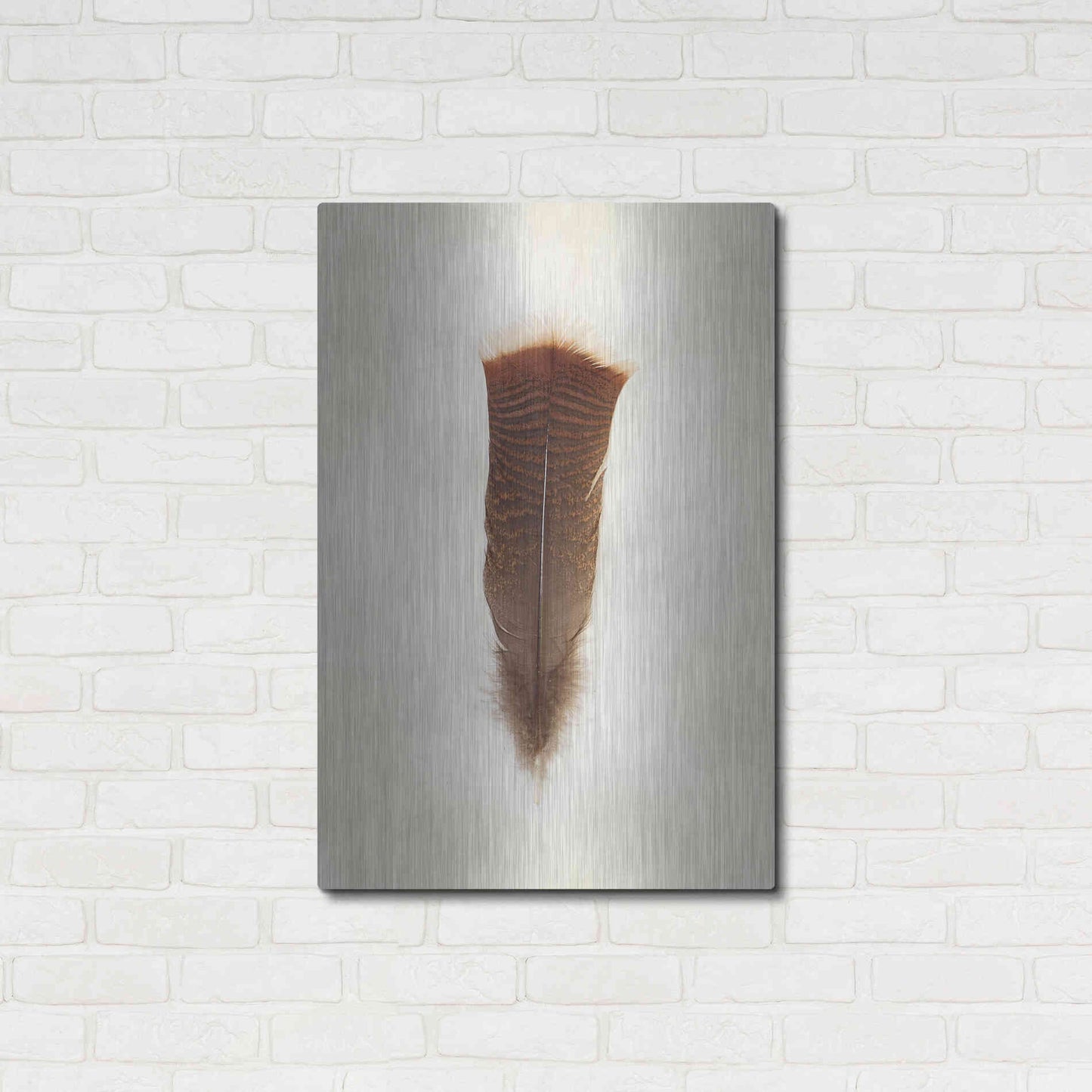 Luxe Metal Art 'Feather III' by Debra Van Swearingen, Metal Wall Art,24x36