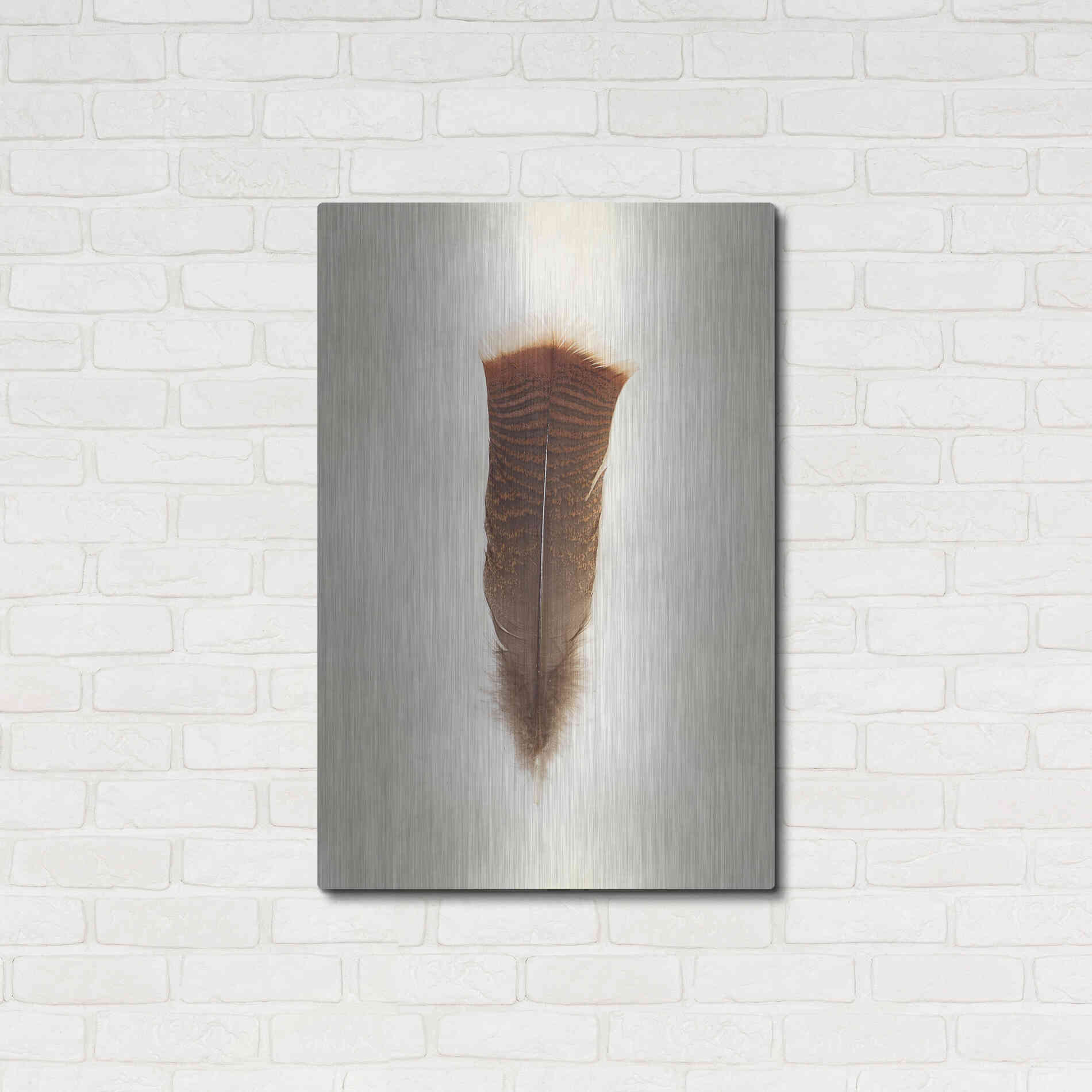 Luxe Metal Art 'Feather III' by Debra Van Swearingen, Metal Wall Art,24x36