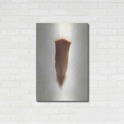 Luxe Metal Art 'Feather III' by Debra Van Swearingen, Metal Wall Art,24x36