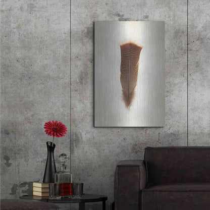 Luxe Metal Art 'Feather III' by Debra Van Swearingen, Metal Wall Art,24x36