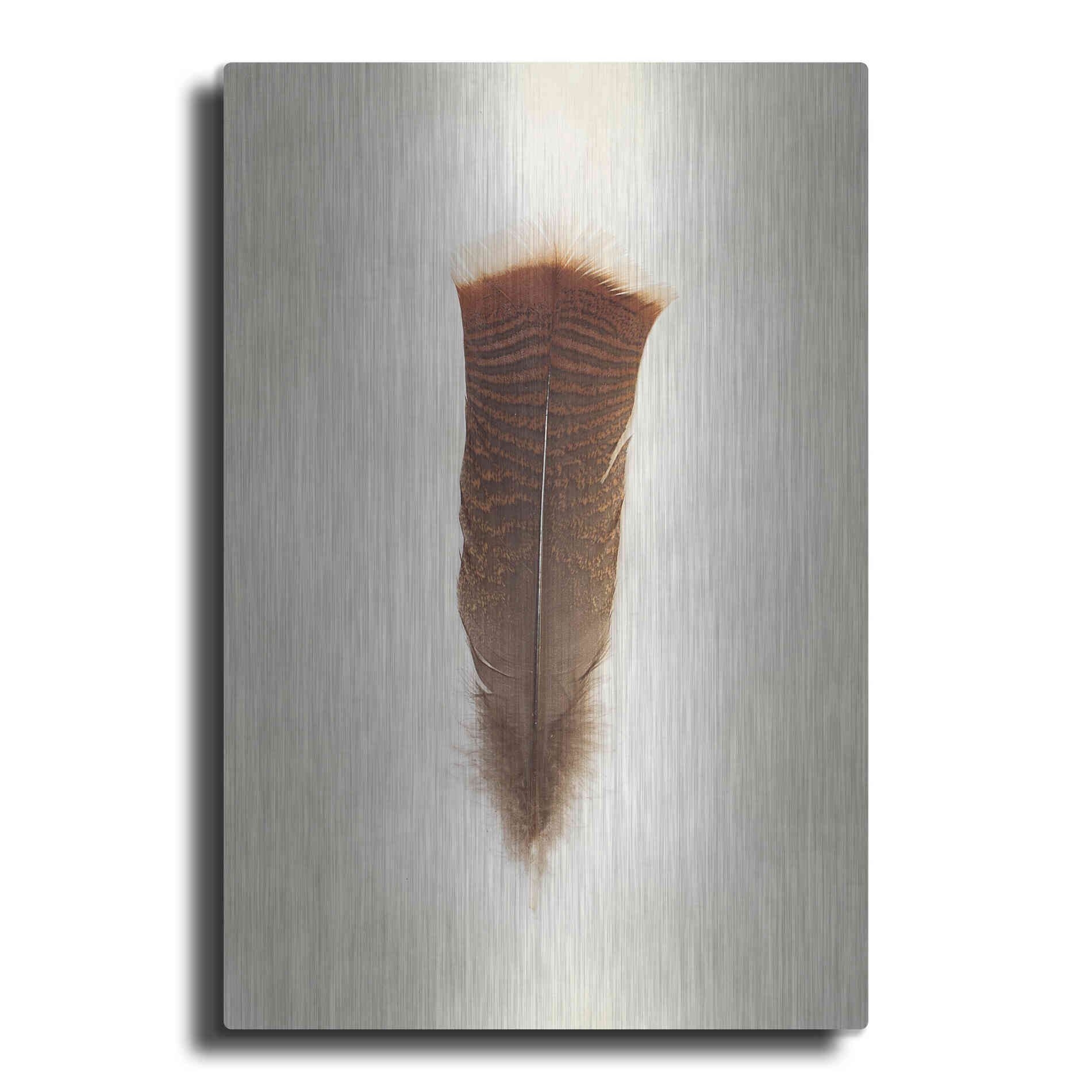 Luxe Metal Art 'Feather III' by Debra Van Swearingen, Metal Wall Art