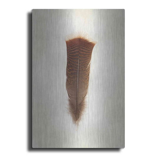 Luxe Metal Art 'Feather III' by Debra Van Swearingen, Metal Wall Art