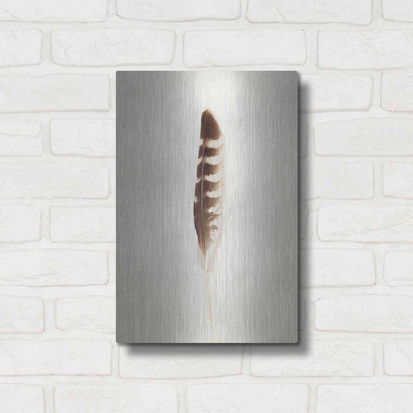 Luxe Metal Art 'Feather IV' by Debra Van Swearingen, Metal Wall Art,12x16