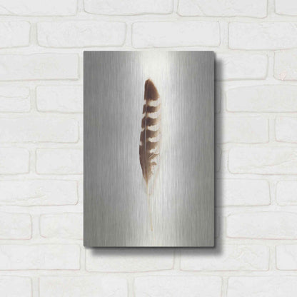 Luxe Metal Art 'Feather IV' by Debra Van Swearingen, Metal Wall Art,12x16