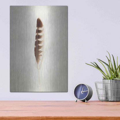 Luxe Metal Art 'Feather IV' by Debra Van Swearingen, Metal Wall Art,12x16