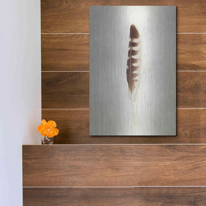Luxe Metal Art 'Feather IV' by Debra Van Swearingen, Metal Wall Art,12x16