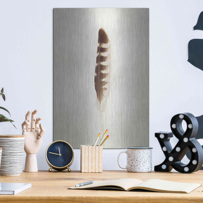 Luxe Metal Art 'Feather IV' by Debra Van Swearingen, Metal Wall Art,12x16