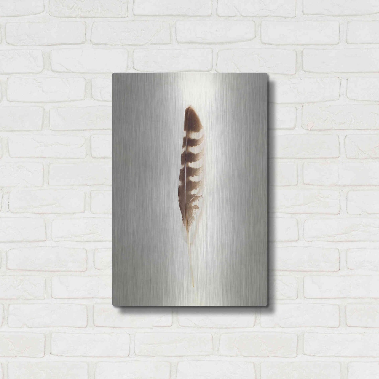 Luxe Metal Art 'Feather IV' by Debra Van Swearingen, Metal Wall Art,16x24