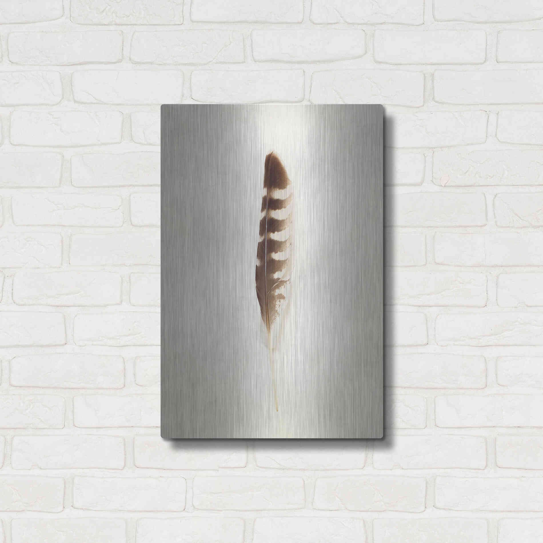 Luxe Metal Art 'Feather IV' by Debra Van Swearingen, Metal Wall Art,16x24