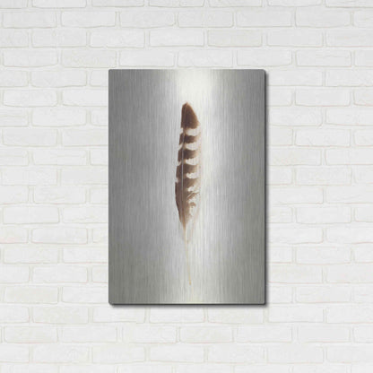 Luxe Metal Art 'Feather IV' by Debra Van Swearingen, Metal Wall Art,24x36