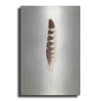 Luxe Metal Art 'Feather IV' by Debra Van Swearingen, Metal Wall Art