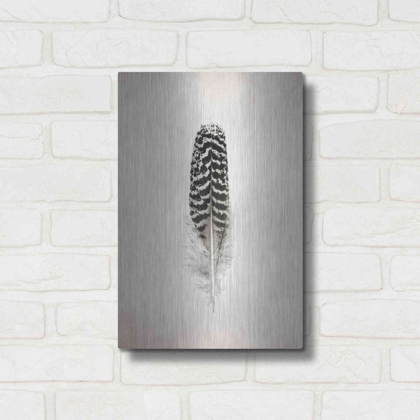 Luxe Metal Art 'Feather I B&W' by Debra Van Swearingen, Metal Wall Art,12x16