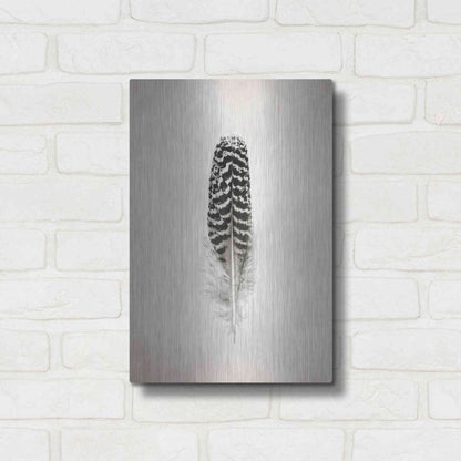 Luxe Metal Art 'Feather I B&W' by Debra Van Swearingen, Metal Wall Art,12x16