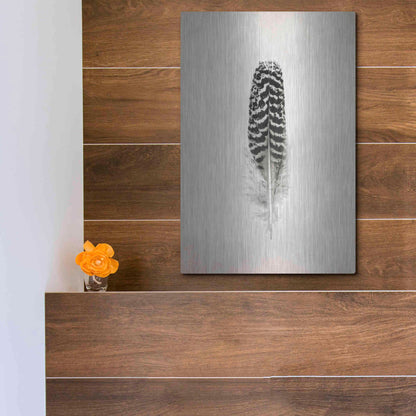 Luxe Metal Art 'Feather I B&W' by Debra Van Swearingen, Metal Wall Art,12x16