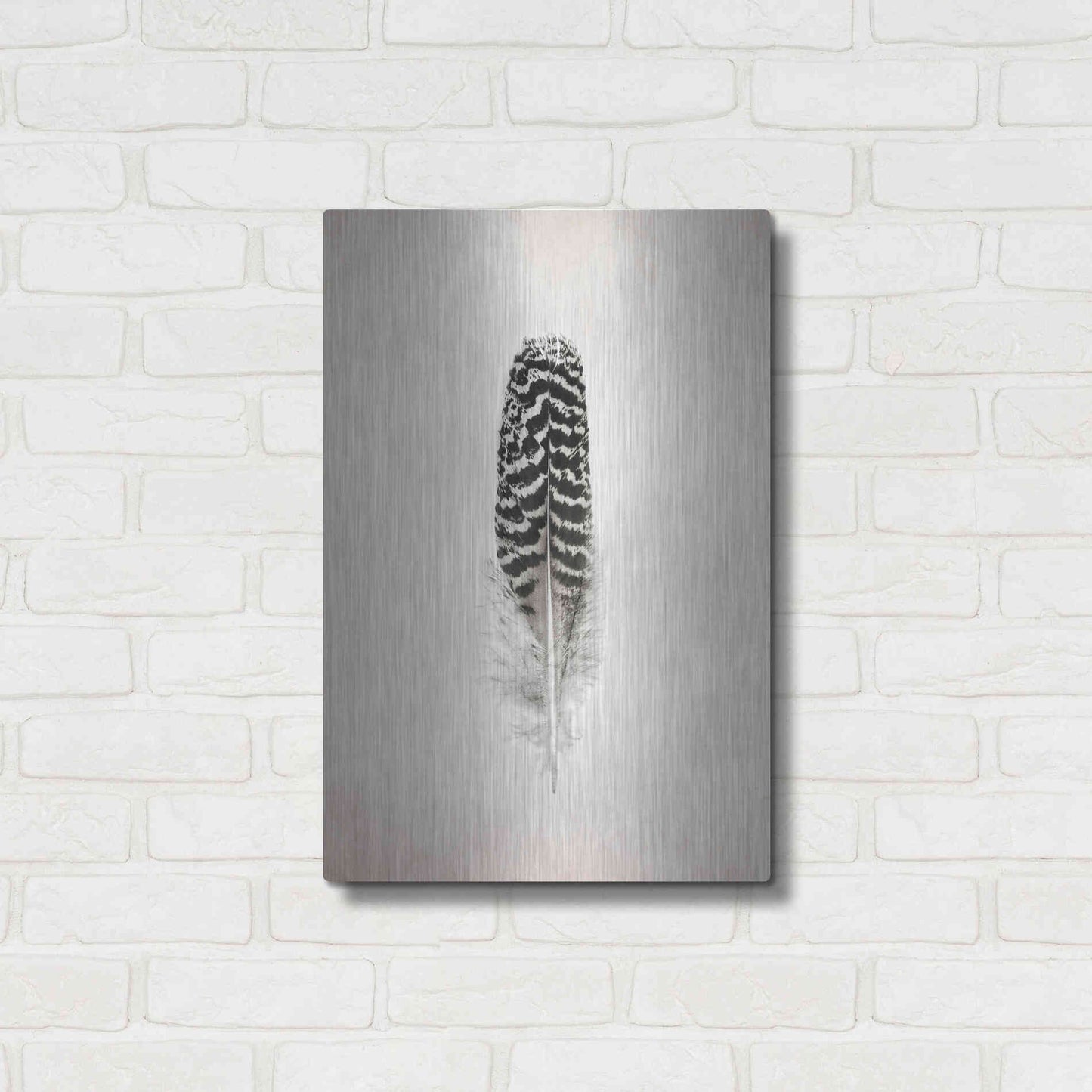 Luxe Metal Art 'Feather I B&W' by Debra Van Swearingen, Metal Wall Art,16x24