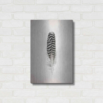 Luxe Metal Art 'Feather I B&W' by Debra Van Swearingen, Metal Wall Art,16x24