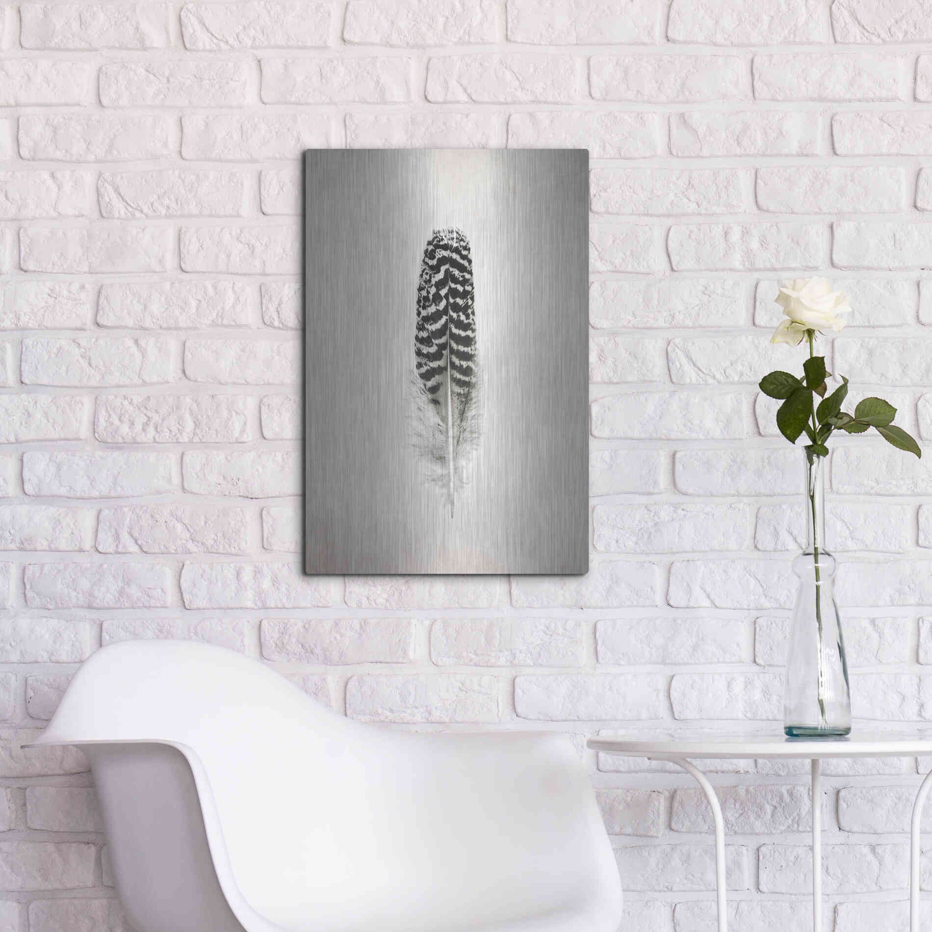 Luxe Metal Art 'Feather I B&W' by Debra Van Swearingen, Metal Wall Art,16x24