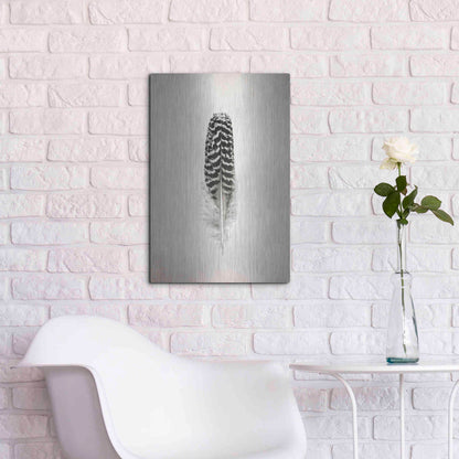 Luxe Metal Art 'Feather I B&W' by Debra Van Swearingen, Metal Wall Art,16x24