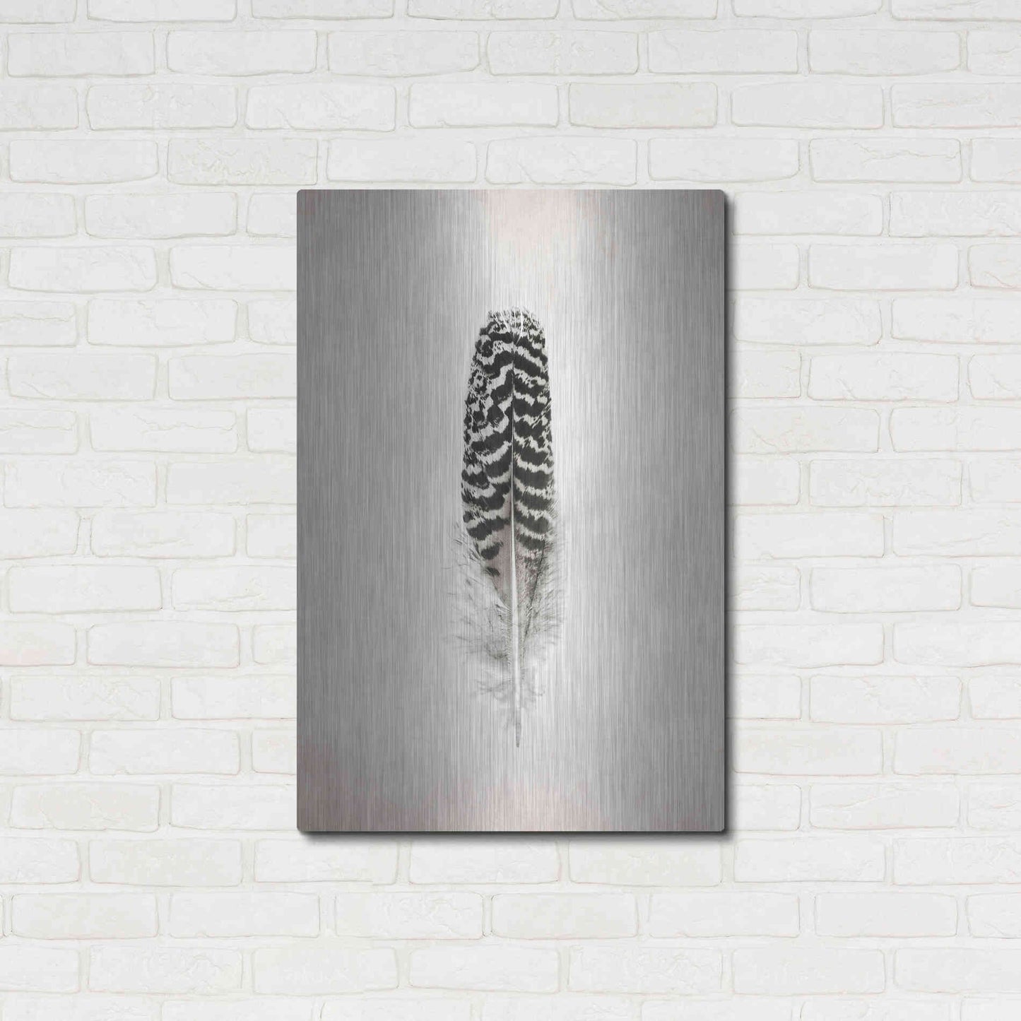 Luxe Metal Art 'Feather I B&W' by Debra Van Swearingen, Metal Wall Art,24x36