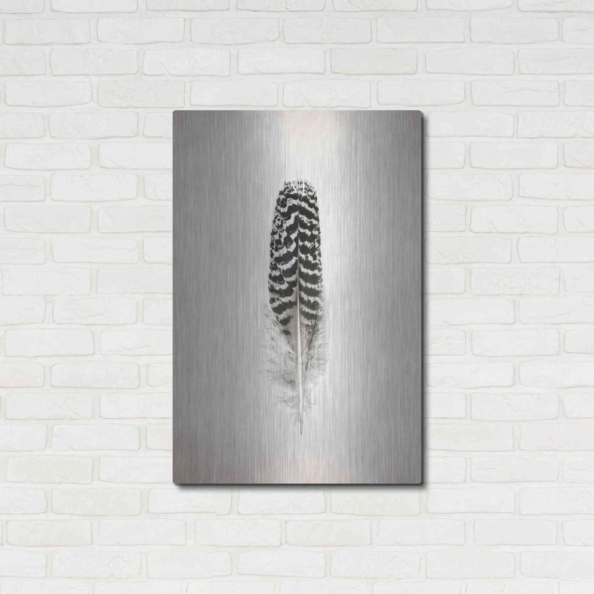 Luxe Metal Art 'Feather I B&W' by Debra Van Swearingen, Metal Wall Art,24x36
