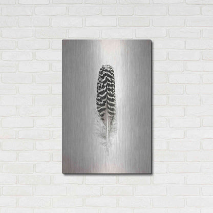 Luxe Metal Art 'Feather I B&W' by Debra Van Swearingen, Metal Wall Art,24x36