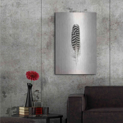 Luxe Metal Art 'Feather I B&W' by Debra Van Swearingen, Metal Wall Art,24x36