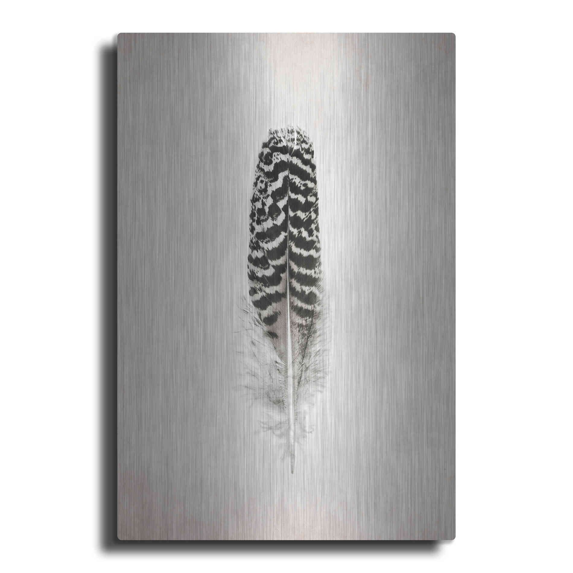 Luxe Metal Art 'Feather I B&W' by Debra Van Swearingen, Metal Wall Art