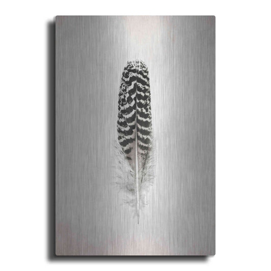 Luxe Metal Art 'Feather I B&W' by Debra Van Swearingen, Metal Wall Art