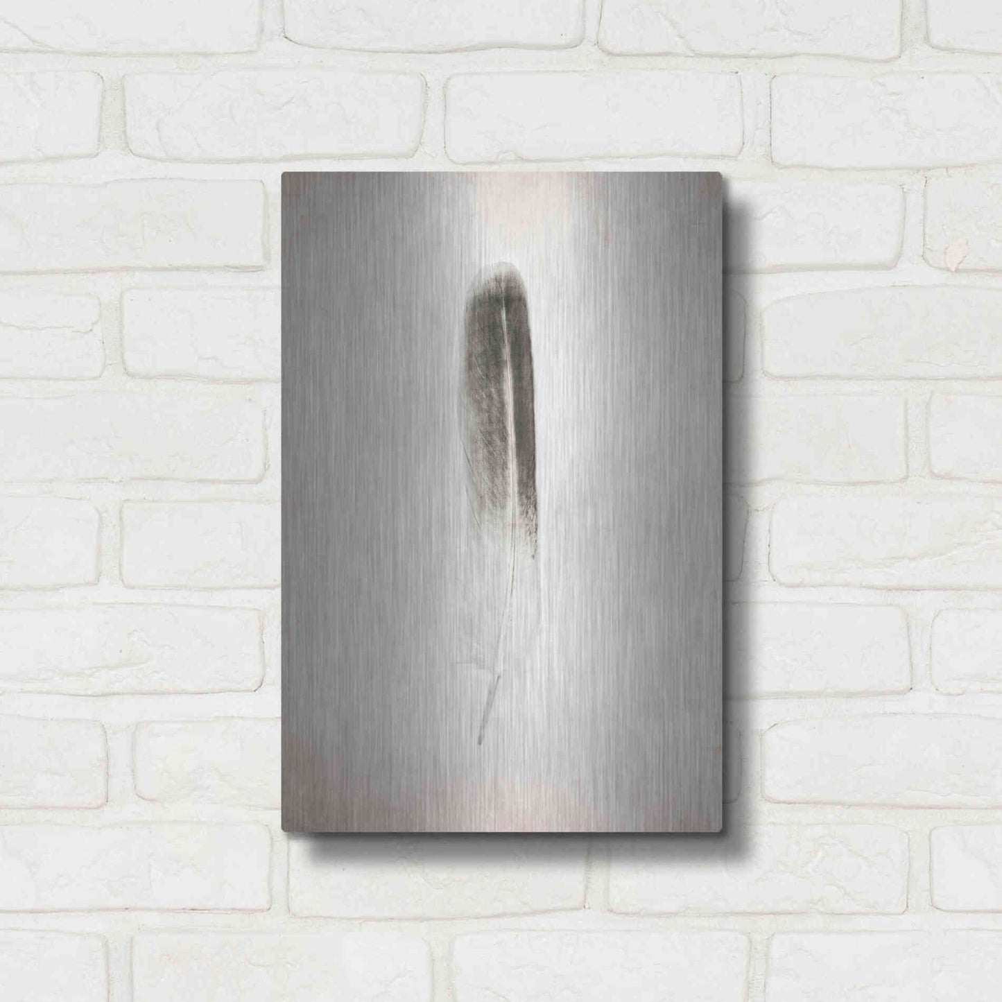 Luxe Metal Art 'Feather II B&W' by Debra Van Swearingen, Metal Wall Art,12x16