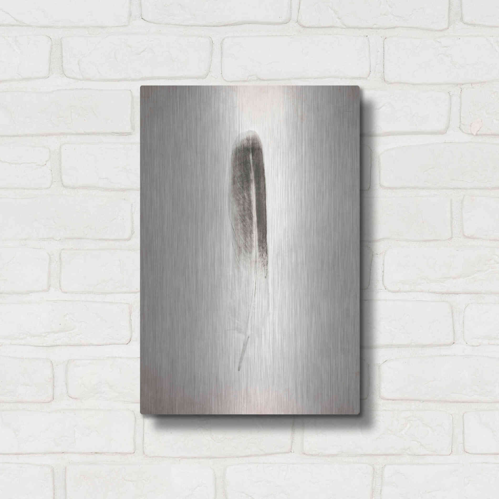 Luxe Metal Art 'Feather II B&W' by Debra Van Swearingen, Metal Wall Art,12x16