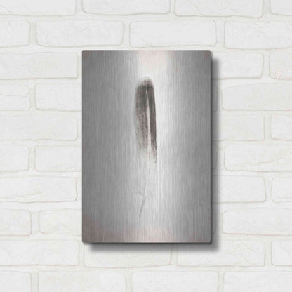 Luxe Metal Art 'Feather II B&W' by Debra Van Swearingen, Metal Wall Art,12x16