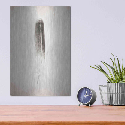 Luxe Metal Art 'Feather II B&W' by Debra Van Swearingen, Metal Wall Art,12x16