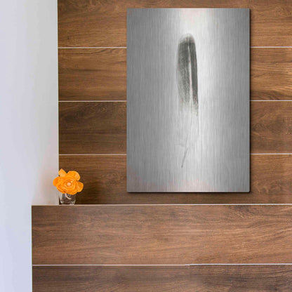 Luxe Metal Art 'Feather II B&W' by Debra Van Swearingen, Metal Wall Art,12x16