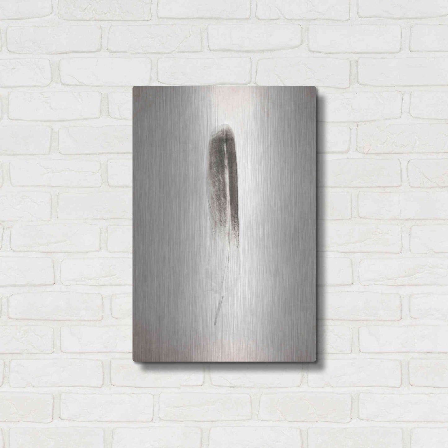 Luxe Metal Art 'Feather II B&W' by Debra Van Swearingen, Metal Wall Art,16x24