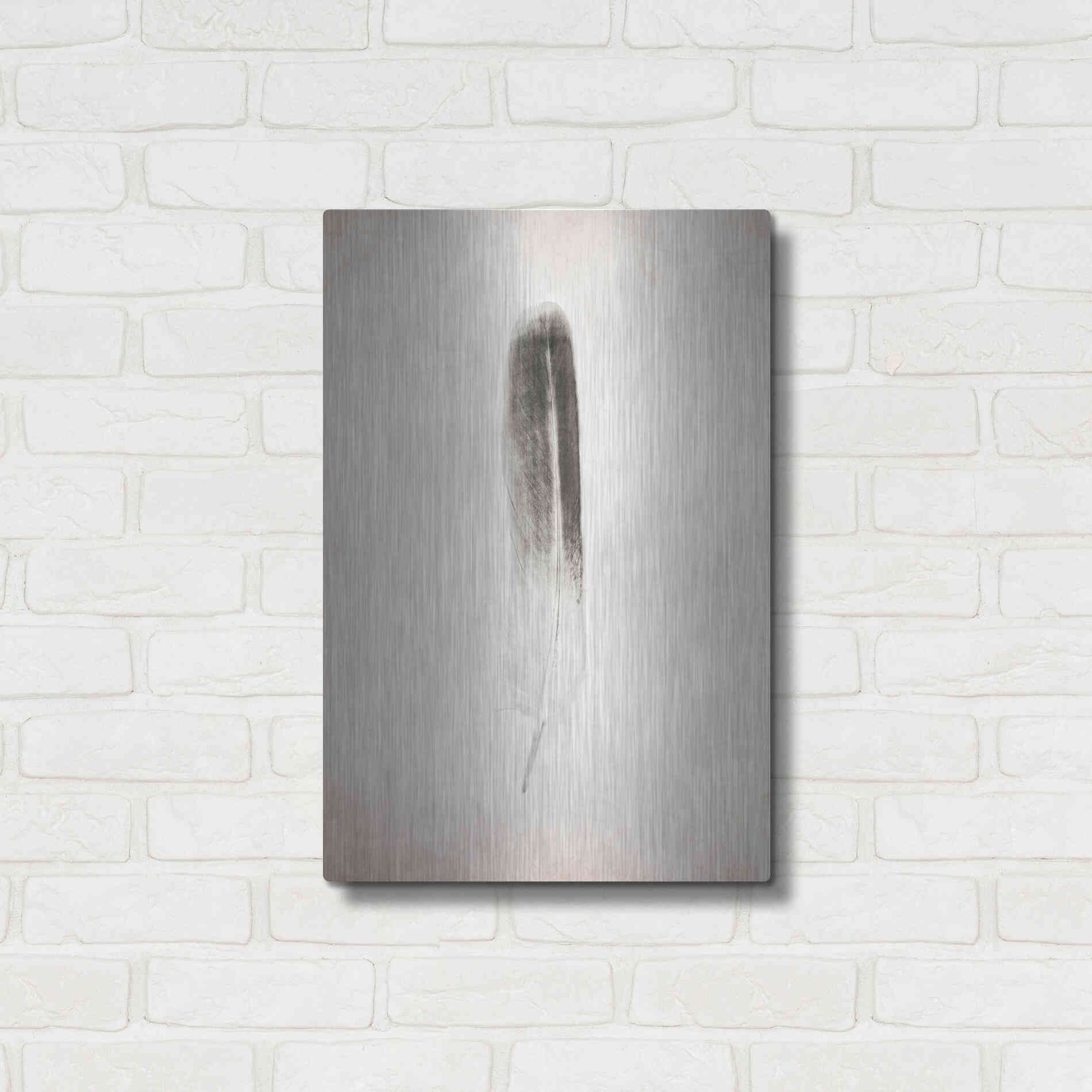 Luxe Metal Art 'Feather II B&W' by Debra Van Swearingen, Metal Wall Art,16x24