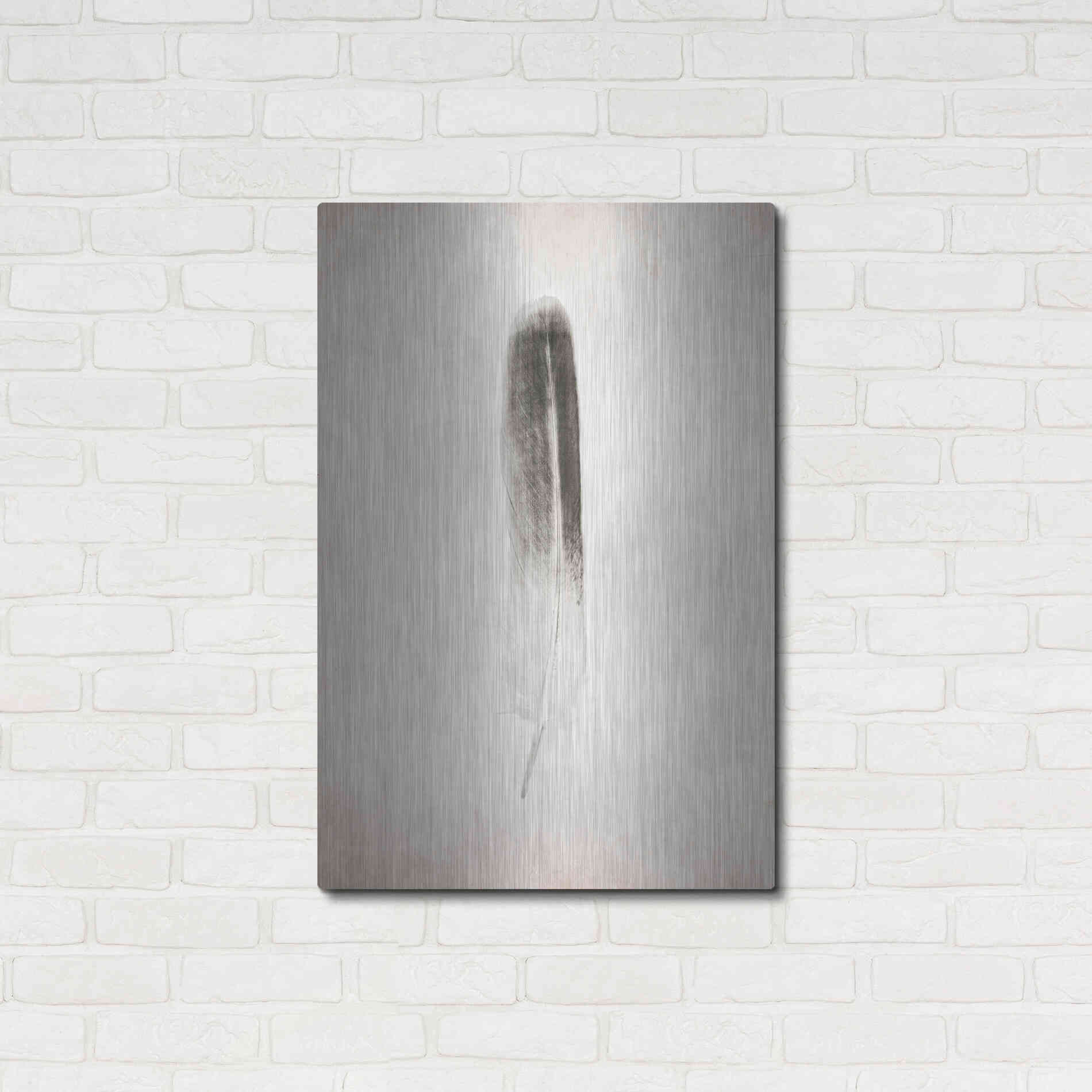 Luxe Metal Art 'Feather II B&W' by Debra Van Swearingen, Metal Wall Art,24x36