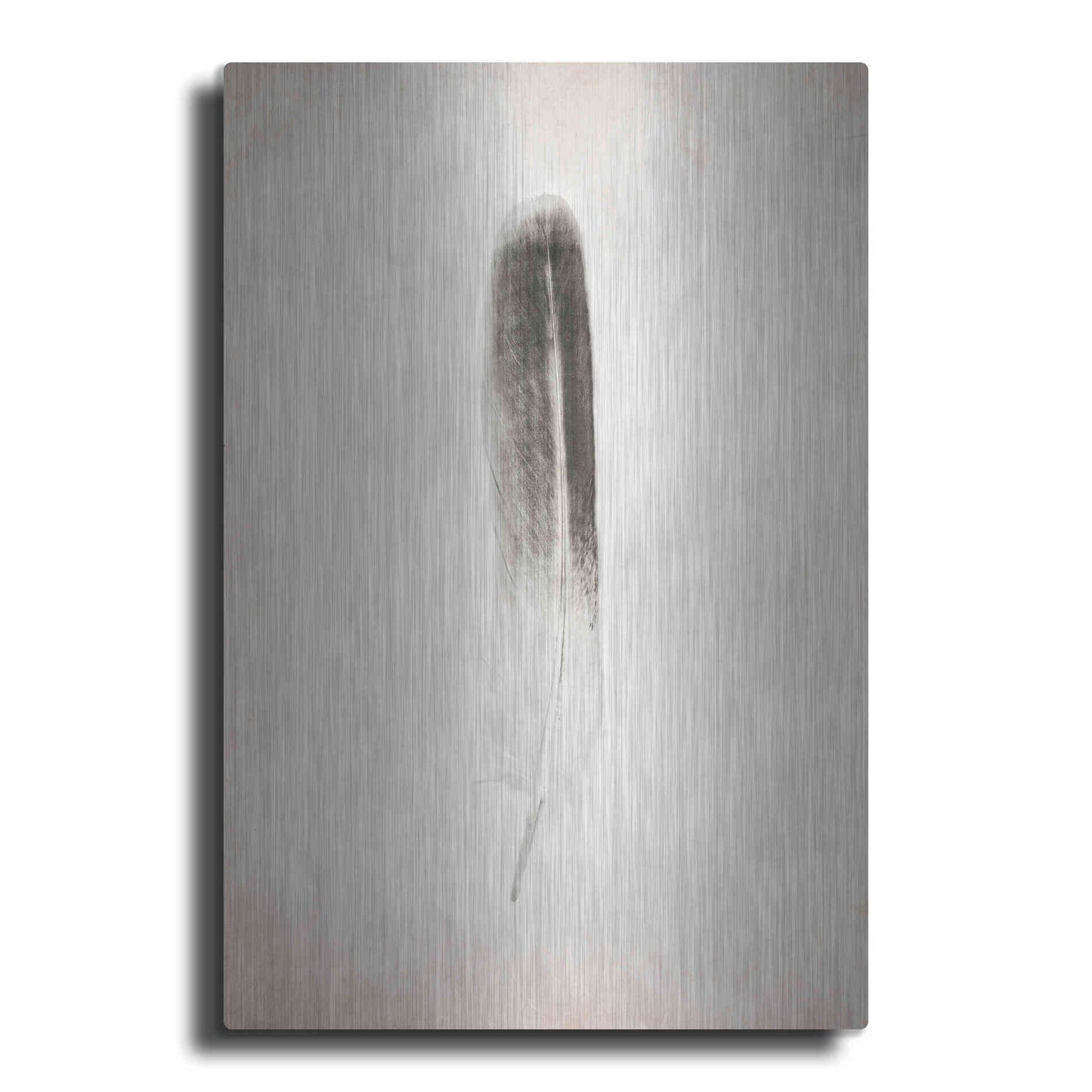 Luxe Metal Art 'Feather II B&W' by Debra Van Swearingen, Metal Wall Art