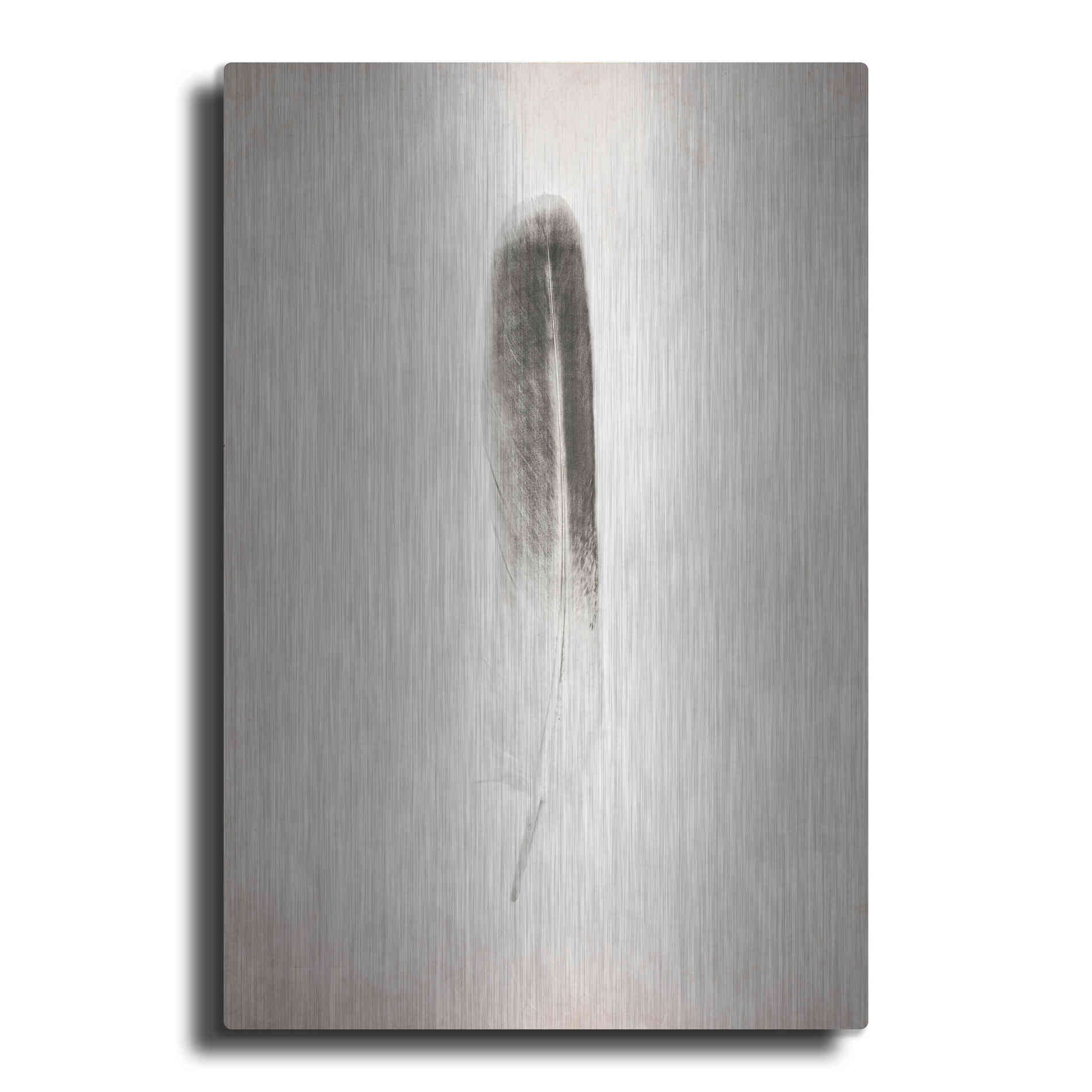 Luxe Metal Art 'Feather II B&W' by Debra Van Swearingen, Metal Wall Art