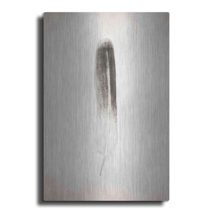 Luxe Metal Art 'Feather II B&W' by Debra Van Swearingen, Metal Wall Art