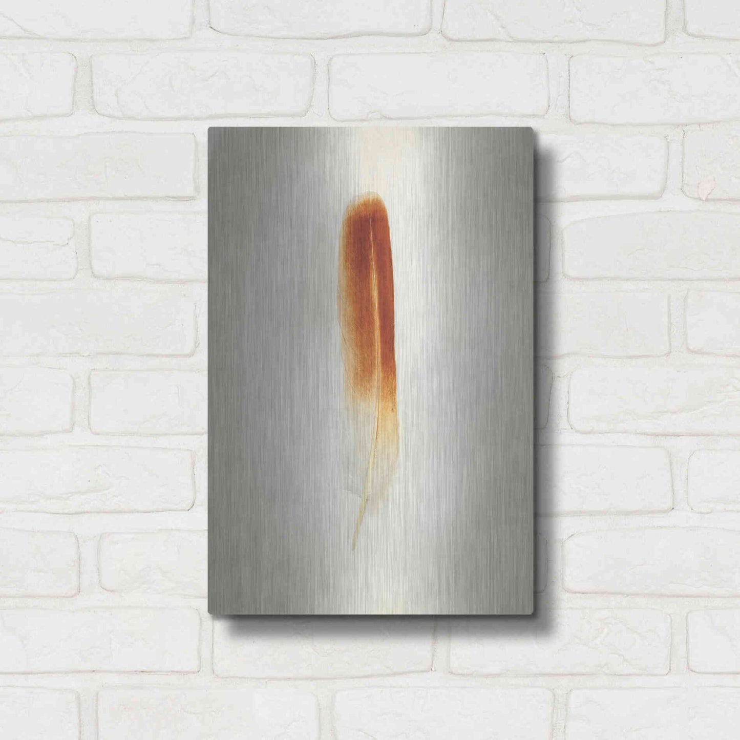 Luxe Metal Art 'Feather II' by Debra Van Swearingen, Metal Wall Art,12x16