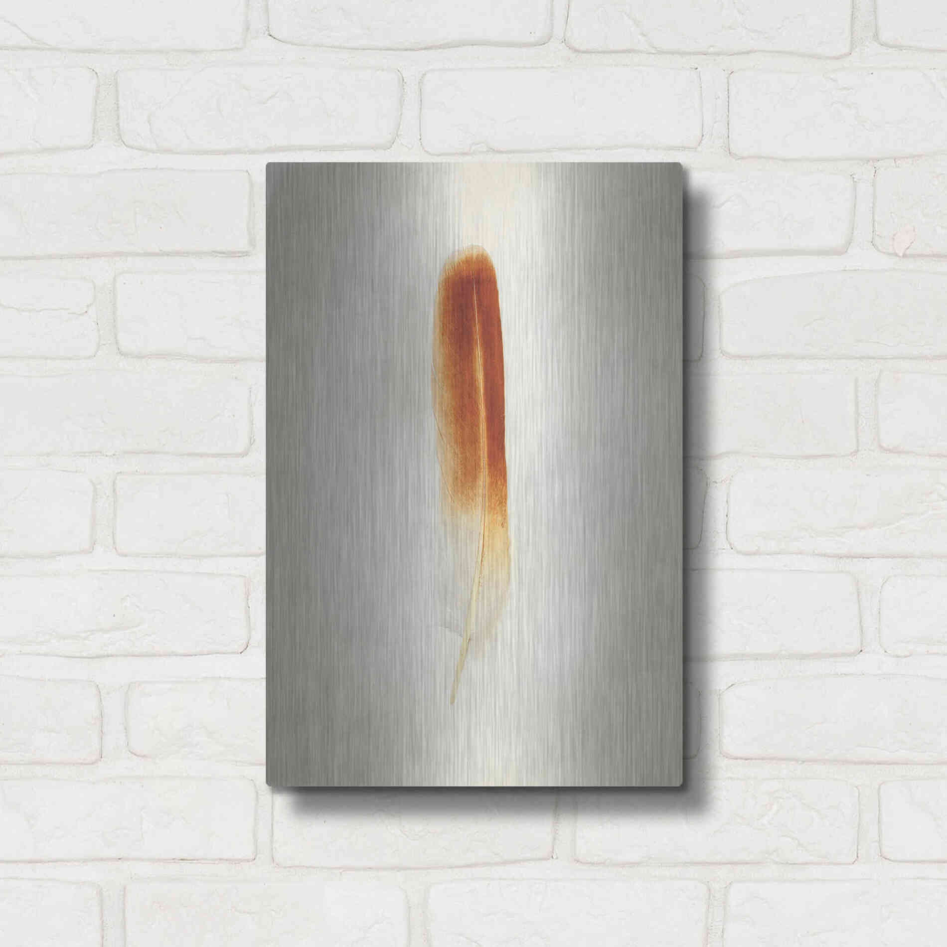 Luxe Metal Art 'Feather II' by Debra Van Swearingen, Metal Wall Art,12x16