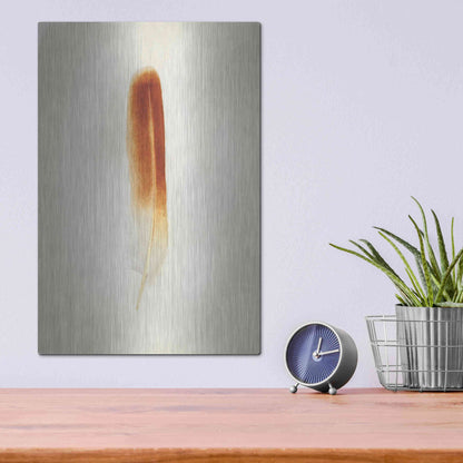 Luxe Metal Art 'Feather II' by Debra Van Swearingen, Metal Wall Art,12x16