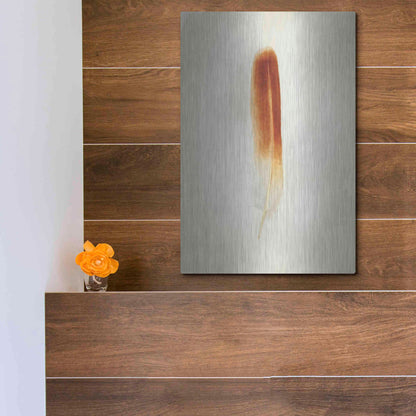 Luxe Metal Art 'Feather II' by Debra Van Swearingen, Metal Wall Art,12x16